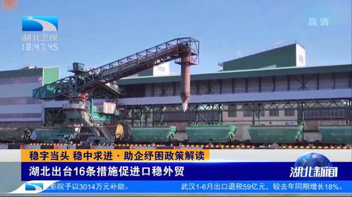 湖北出臺(tái)16條措施促進(jìn)口穩(wěn)外貿(mào)