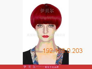 貴州外貿假發購買指南 口碑廠家、價格與選購要點